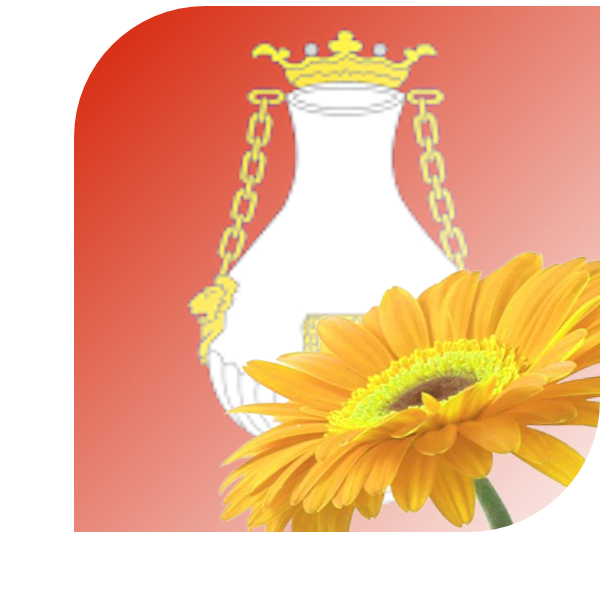 Bloemen bezorgen Vlissingen