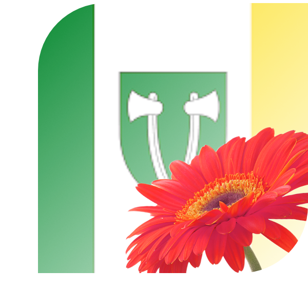 Bloemen bezorgen Beilen