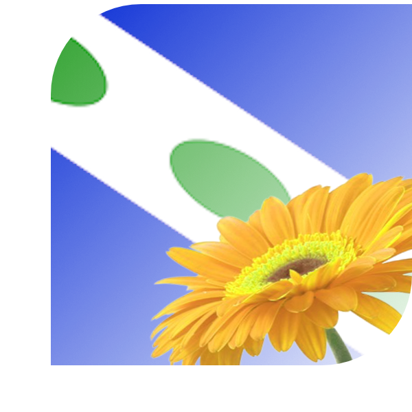 Bloemen bezorgen Dreischor