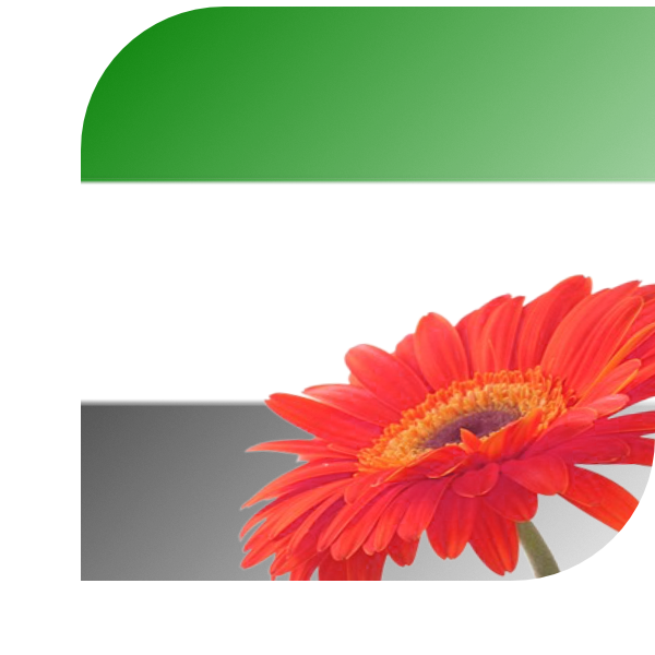 Bloemen Bezorgen Raamsdonksveer
