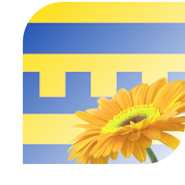 Bloemen bezorgen Harderwijk