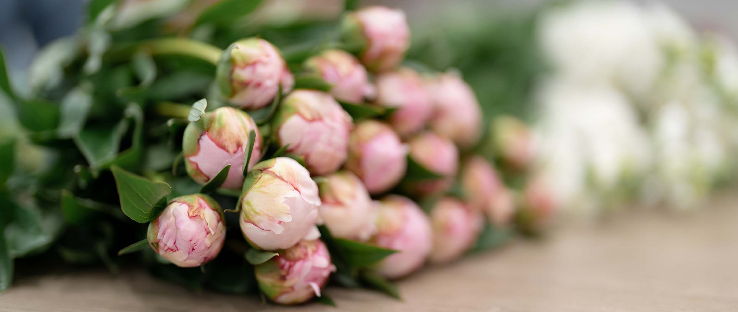 blog pioenrozen 2 2023 blog pioenrozen 2 2023