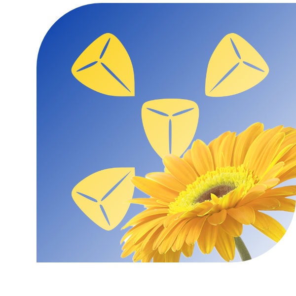 Bloemen bezorgen Bussum