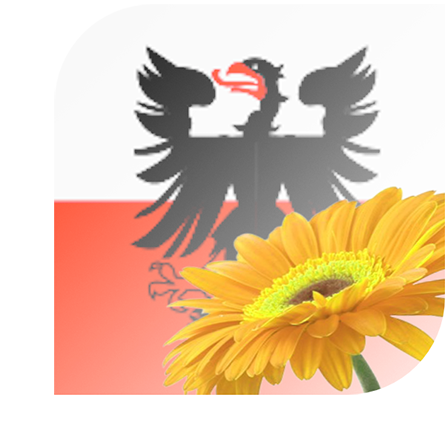 Bloemen bezorgen Deventer