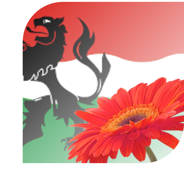 Bloemen bezorgen Aadorp