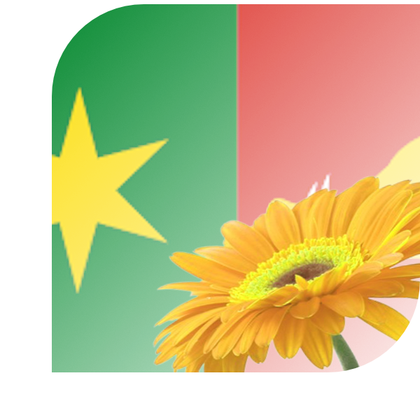 Bloemen bezorgen Holten