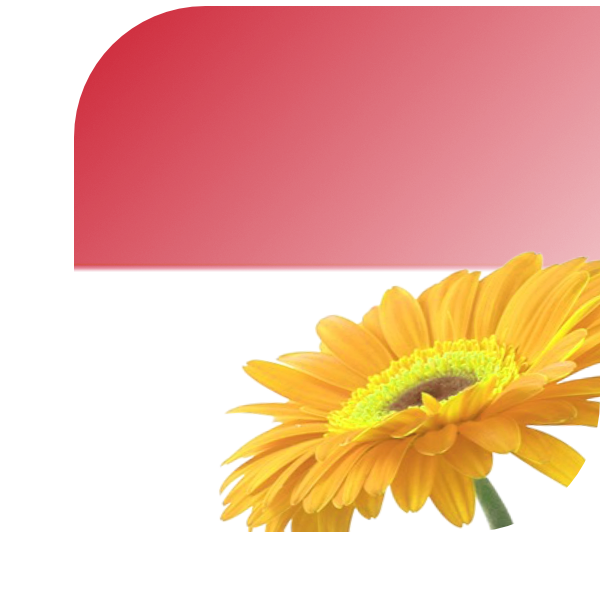 Bloemen bezorgen Kerkrade