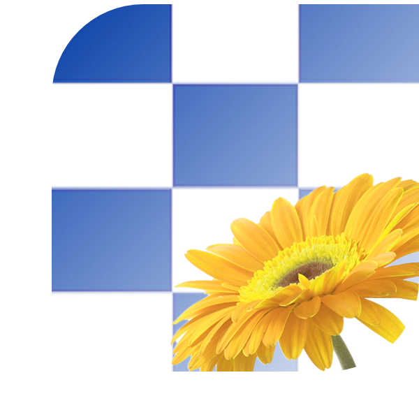 Boeket bezorgen Dalfsen