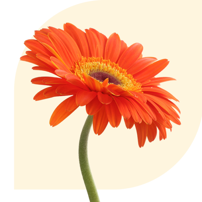 Bloemen bezorgen Tubbergen