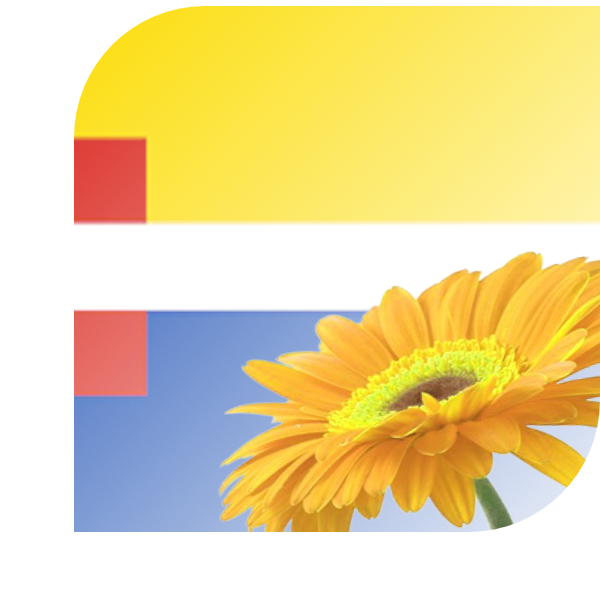 Bloemen bezorgen Genemuiden