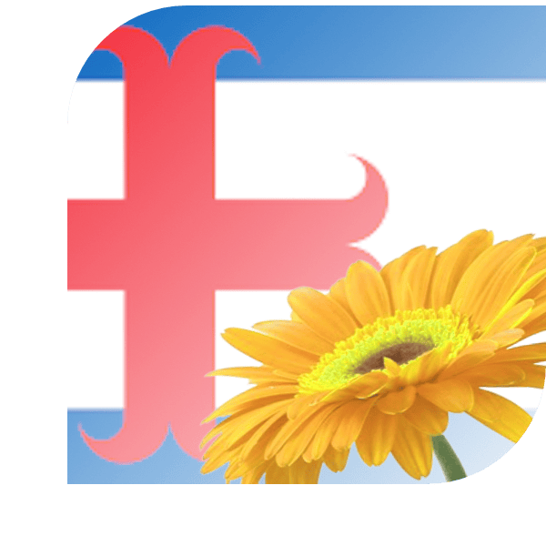 Bloemen bezorgen Zutphen