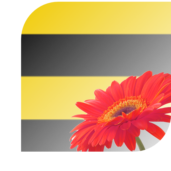 Bloemen bezorgen Workum