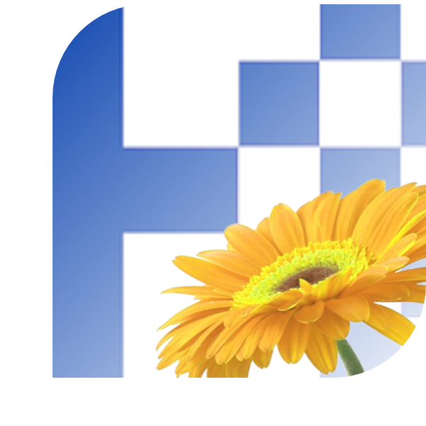 Bloemen bezorgen Nieuwleusen
