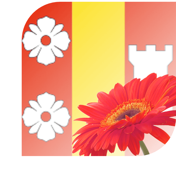 Bloemen bezorgen Rozenburg