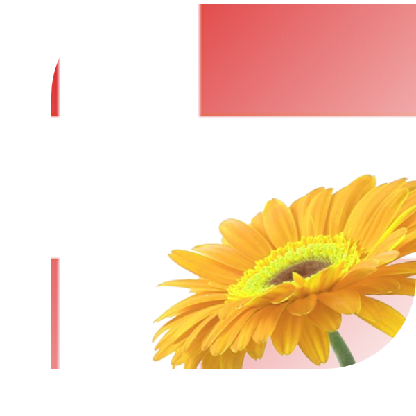 Bloemen bezorgen Goor