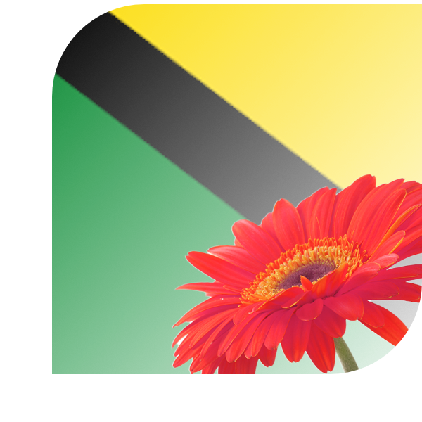 Bloemen bezorgen Makkum