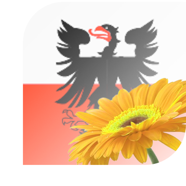 Bloemen bezorgen Deventer