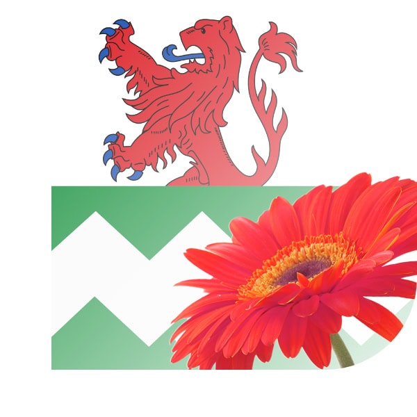 Bloemen bezorgen Honselersdijk