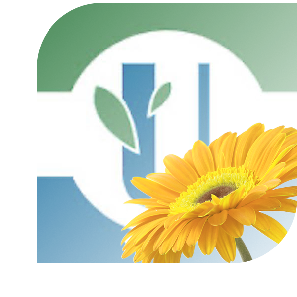 Bloemen bezorgen Ugchelen