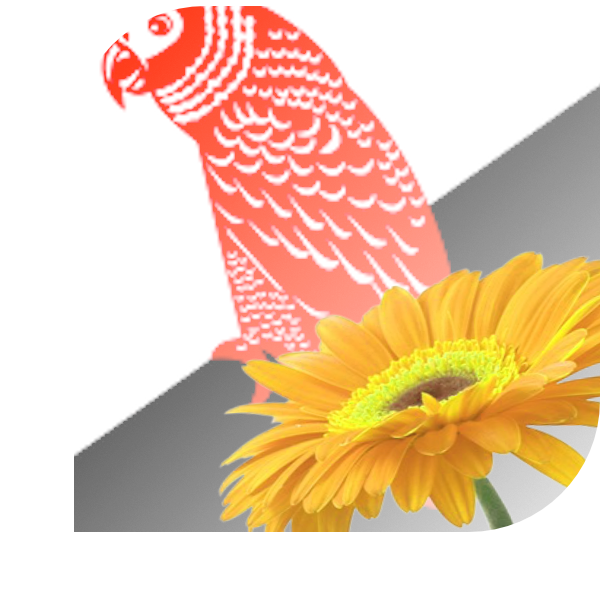 Bloemen bezorgen Rossum