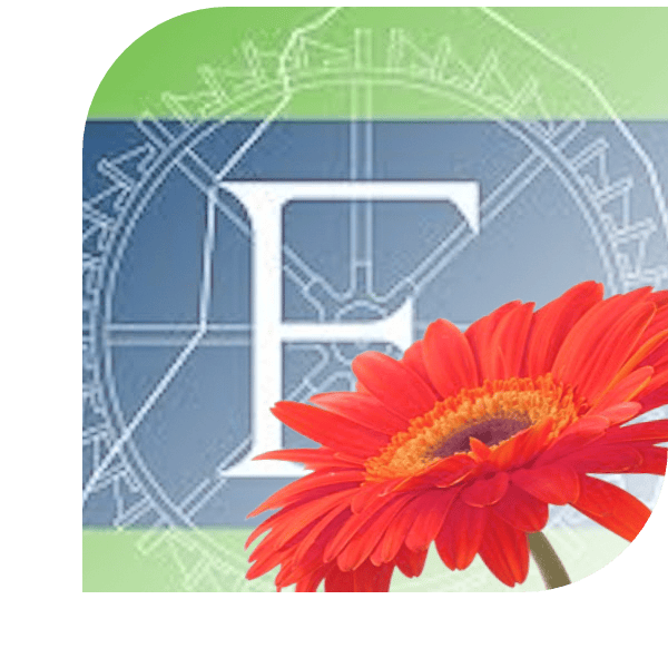Bloemen bezorgen Eerbeek