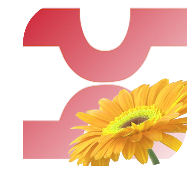 Bloemen bezorgen Losser