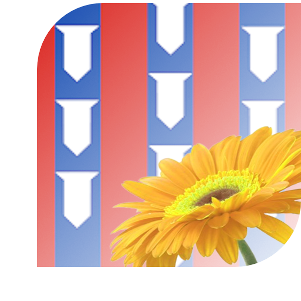 Bloemen bezorgen Beesd