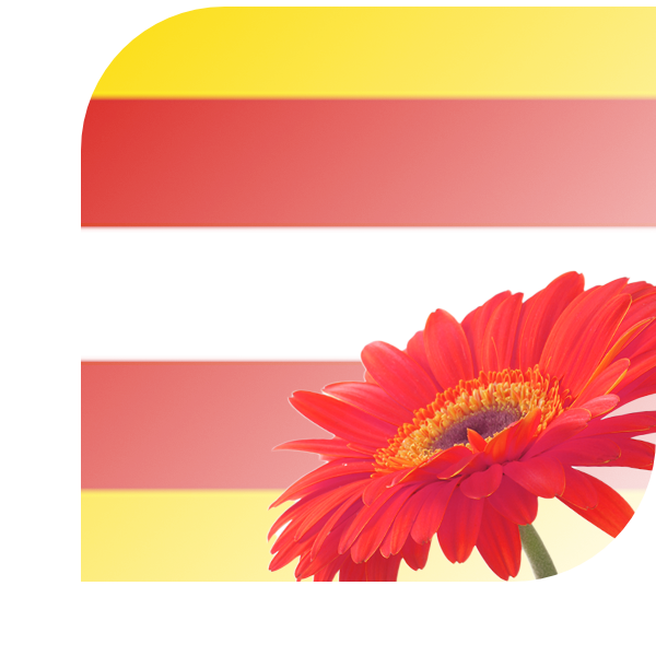 Bloemen bezorgen Kerkdriel