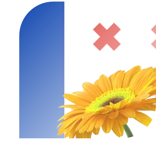 Bloemen bezorgen Geesteren