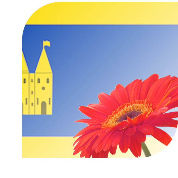 Bloemen bezorgen Staphorst