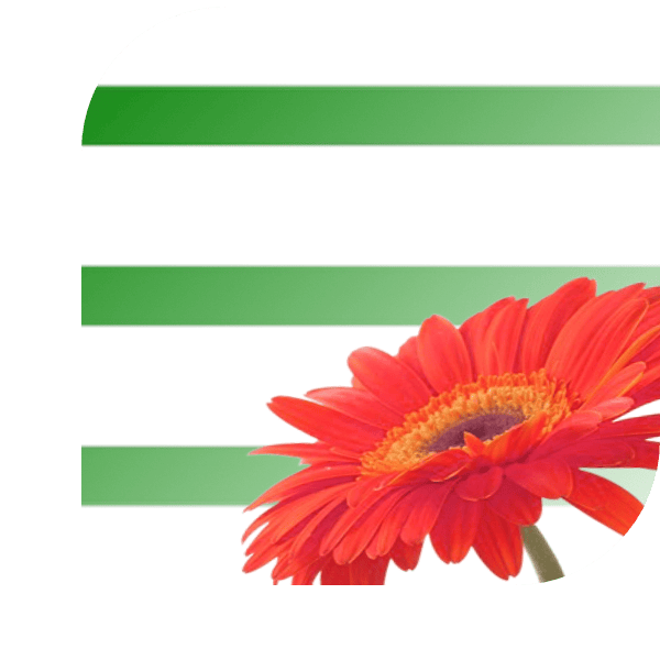 Bloemen bezorgen Wilnis