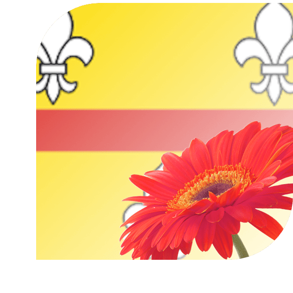 Bloemen bezorgen Loenen