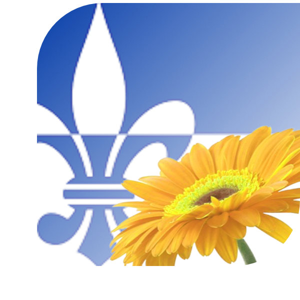 Bloemen bezorgen Scherpenzeel