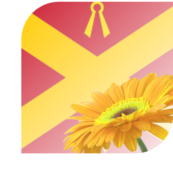 Bloemen bezorgen Wijchen