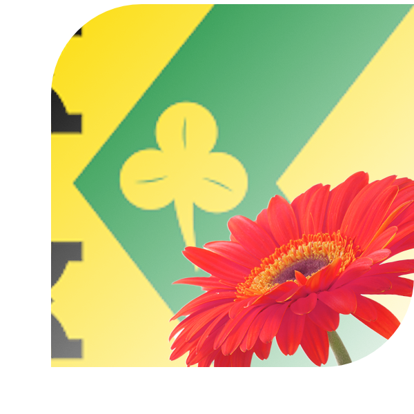 Bloemen bezorgen Vaassen