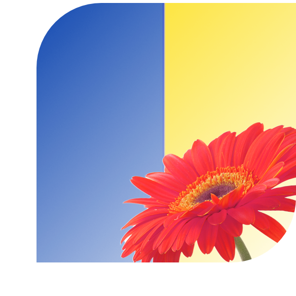 Bloemen bezorgen Ootmarsum