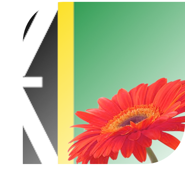 Bloemen bezorgen Rockanje