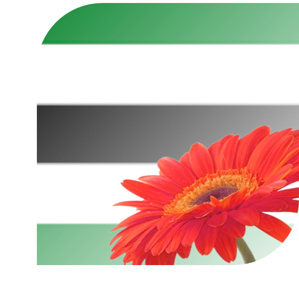 Bloemen bezorgen Zuidland