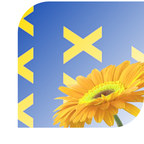 Bloemen bezorgen Kockengen