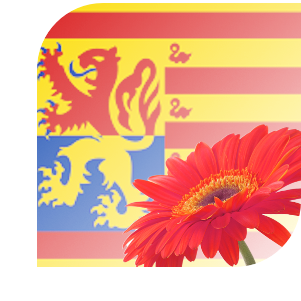 Bloemen bezorgen Schoorl