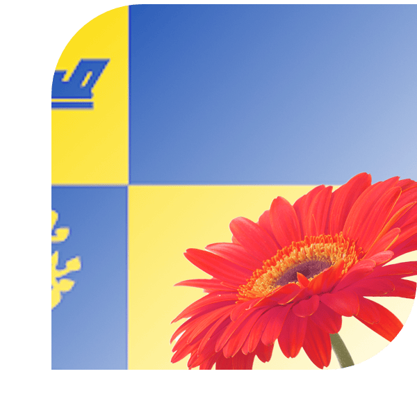 Bloemen bezorgen Delden