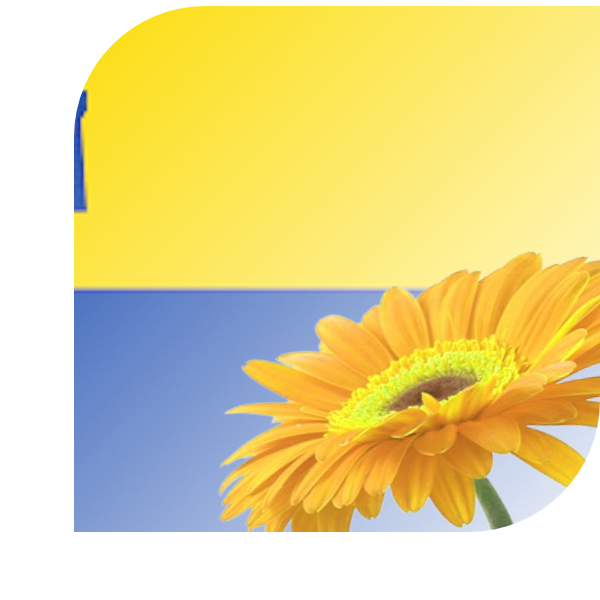 Bloemen bezorgen Gorssel