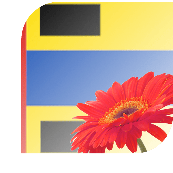 Bloemen bezorgen Surhuisterveen