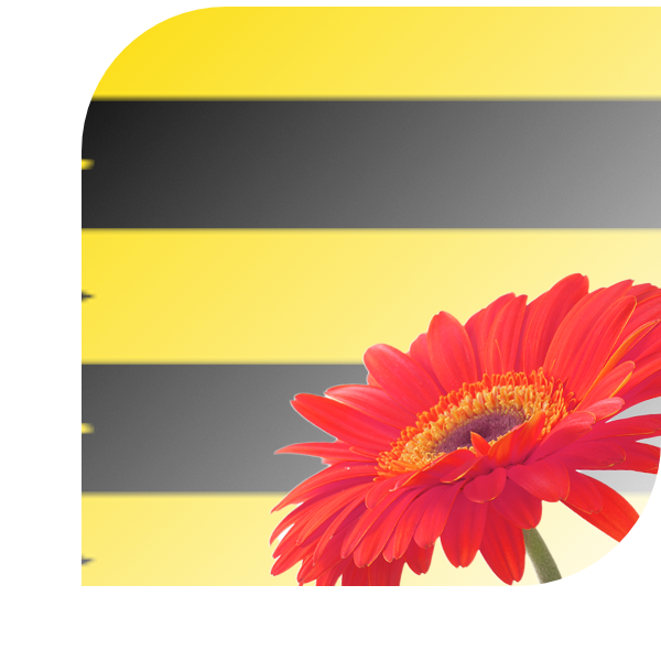 Bloemen bezorgen Diepenveen