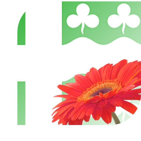 Bloemen bezorgen Marum