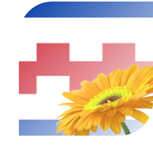 Bloemen bezorgen Renswoude