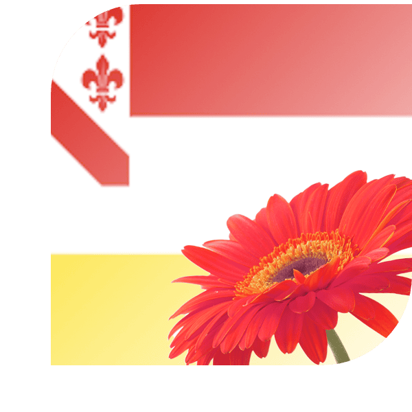 Bloemen bezorgen Amerongen