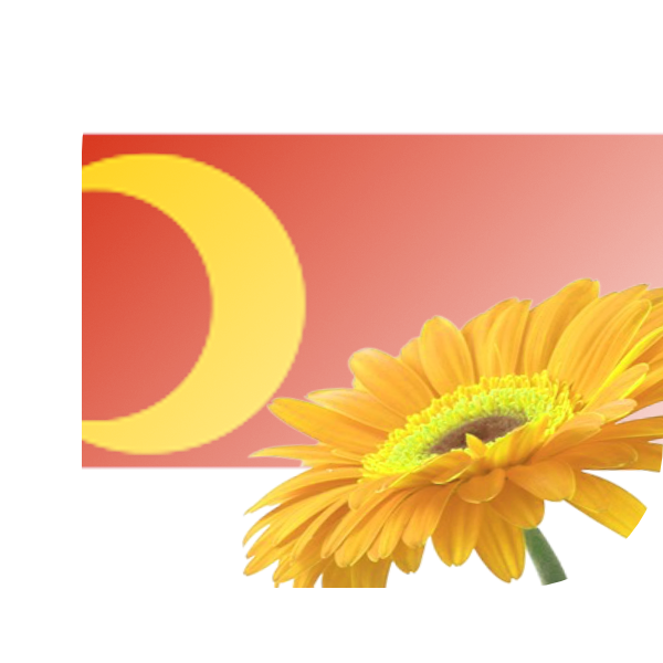 Bloemen bezorgen Doesburg
