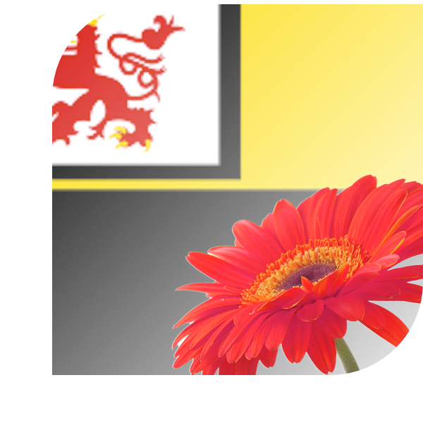 Bloemen bezorgen Didam