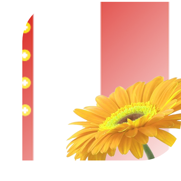 Bloemen bezorgen Vierpolders